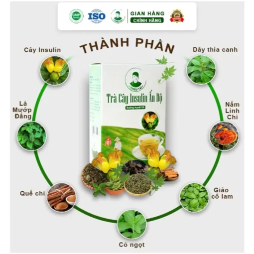 Trà cây Insulin Ấn Độ THIỀU TÀI Trà thảo mộc nước trà tốt cho đường huyết 1 hộp/30 túi lọc